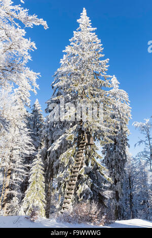 Deutschland, Bayern, Böhmerwald im Winter, Ansitz Stockfoto