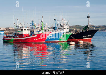 Horizontale Aufnahme des kommerziellen Thunfischfang im Hafen. Hondarribia, Baskenland, Spanien. Stockfoto