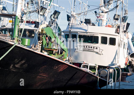 horizontale Bild von einem kommerziellen Thunfischfang im Hafen. Hondarribia, Baskenland, Spanien. Stockfoto