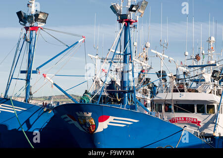 Horizontale Aufnahme des kommerziellen Thunfischfang im Hafen. Hondarribia, Baskenland, Spanien. Stockfoto