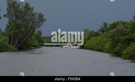 Naples, Florida Wasserstraßen und Kanäle. Stockfoto