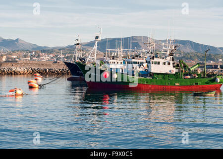 Horizontale Aufnahme des kommerziellen Thunfischfang im Hafen. Hondarribia, Baskenland, Spanien. Stockfoto