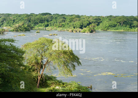 Die Victoria-Nil, Murchison Falls National Park, Uganda Stockfoto