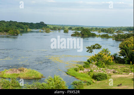 Die Victoria-Nil, Murchison Falls National Park, Uganda Stockfoto