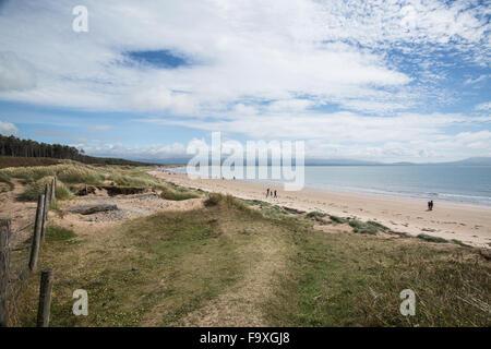 Newborough Strand, Newborough Wald, Anglesey, North Wales, UK Stockfoto