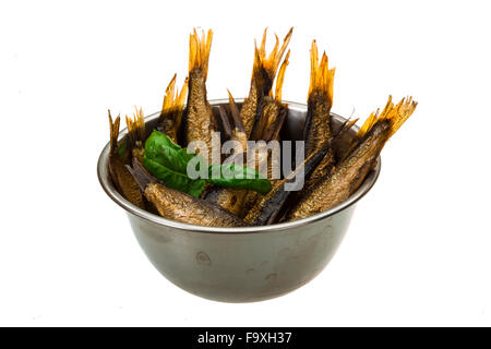 Dosen Sprotten mit Basilikum isoliert Stockfoto