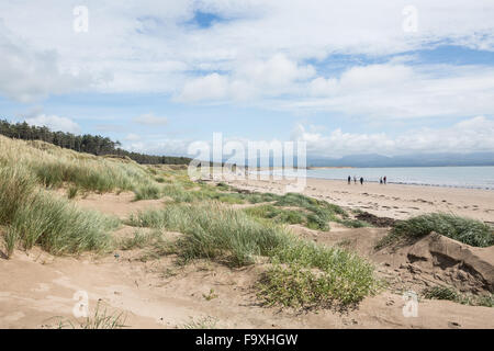 Newborough Strand, Newborough Wald, Anglesey, North Wales, UK Stockfoto