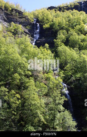 Eine dünne Wasserfall durch Bäume aus der Flamsbana (Flam Railway) in Flam Norwegen Stockfoto