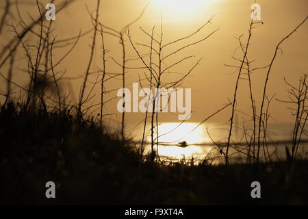 Samila Strand am Morgen. Und Natur Stockfoto