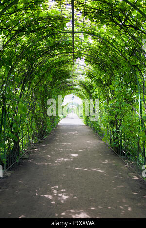 Formale Gärten, Rundale Palace Museum und Park, Lettland Stockfoto