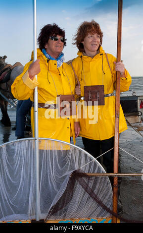 Garnelen fischen - die weltweit letzten verbliebenen Reiten Fischer. Oostduinkerke, Belgien. Stockfoto