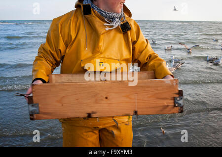 Garnelen fischen - die weltweit letzten verbliebenen Reiten Fischer. Oostduinkerke, Belgien. Stockfoto