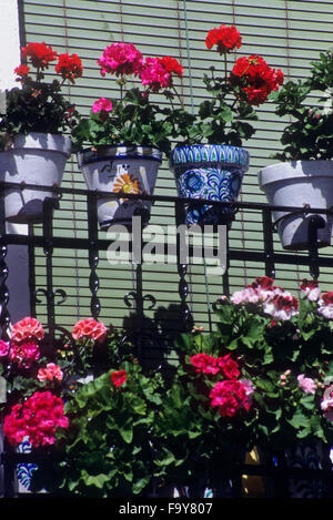 Detail der al Balkon in Calle del Agua.Albaicín Quartal. Granada, Andalusien, Spanien Stockfoto