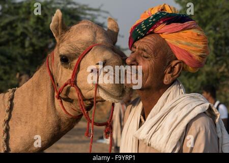 Kamel Besitzer In Liebe, Camel Fair, Pushkar Stockfoto