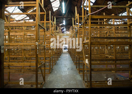 Reihen von leeren Elementen aus Holz Regale Regale in einem Lagerhaus UK Stockfoto