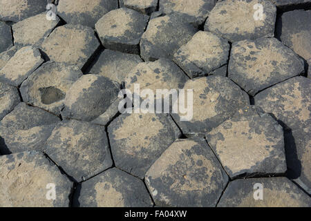 Küste von Giants Causeway in Nordirland Stockfoto