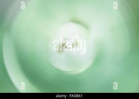 Abstrakte grüne Blätter Hintergrund von Spin blur, stock Foto Stockfoto