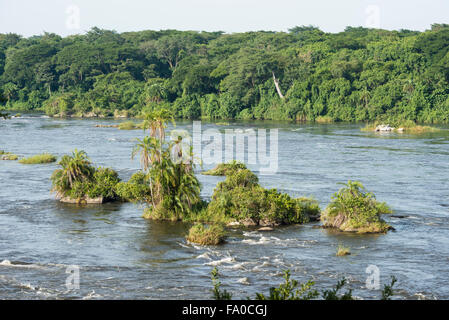 Die Victoria-Nil, Murchison Falls National Park, Uganda Stockfoto