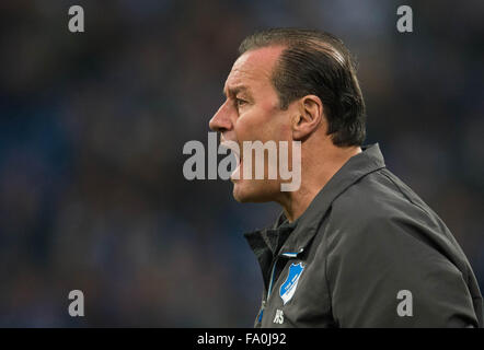 Gelsenkirchen, Deutschland. 18. Dezember 2015. Hoffenheim Kopf, die Trainer Huub Stevens während der deutschen Fußball-Bundesliga-Fußball schreit-match zwischen FC Schalke 04 und 1899 Hoffenheim in der Veltins-Arena in Gelsenkirchen, Deutschland, 18. Dezember 2015. Foto: BERND THISSEN/Dpa/Alamy Live-Nachrichten Stockfoto