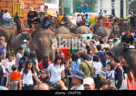 Elefanten und vielen treuen Menschen mischen und bei der jährlichen Surin Elephant Roundup vermischen Stockfoto