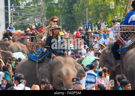 Thai Beifahrerin auf Elefanten reiten, wieder in eine große Schar von Menschen und Tieren bei der jährlichen Surin Elephant Roundup Stockfoto