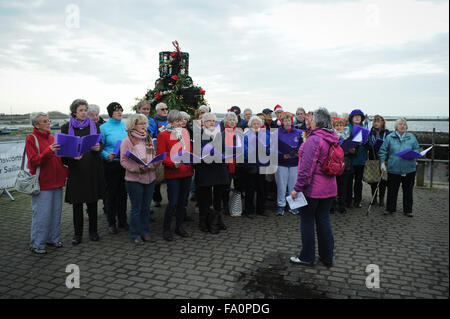 Weihnachtslieder sind vor dem Weihnachtsbaum von Hummer Töpfen auf Christchurch Quay, in Hampshire England gesungen. Lokale Unternehmen und Bewohner spendete die Hummer Töpfe, die, wenn der Baum nach unten, um die lokalen Fischer gegeben werden, um zu helfen, die emsworth Fischerei unterstützen. Stockfoto