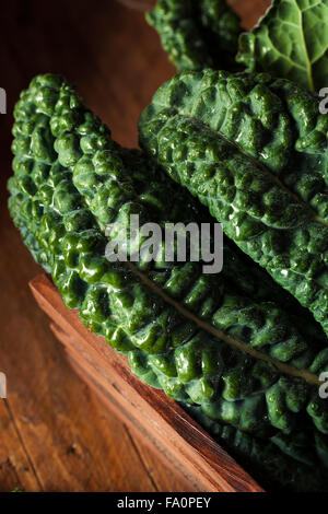 Bio Green Lacinato Kale essfertig Stockfoto