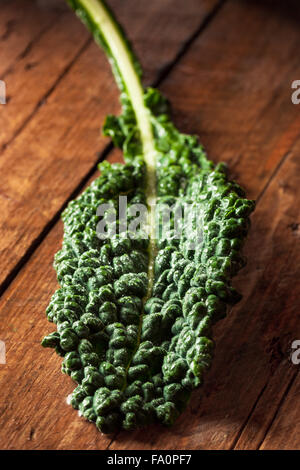 Bio Green Lacinato Kale essfertig Stockfoto