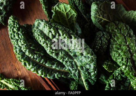 Bio Green Lacinato Kale essfertig Stockfoto