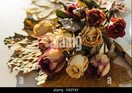 ein Bouquet ist von den vertrocknenden Rosen Stockfoto