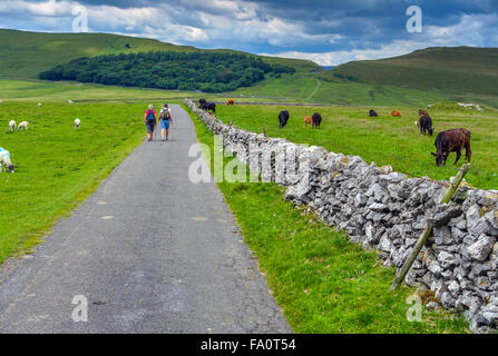 Zwei weibliche Wanderer auf schmalen Straße durch Trockenmauer mit Rindern im Feld, zu Fuß in Richtung Mam Tor Stockfoto