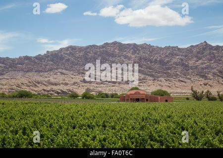 Angastaco, Argentinien - 13. November 2015: Foto des Weinguts Bodega El Cese auf der Route 40 im Nordwesten Argentiniens. Stockfoto