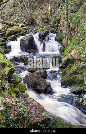 Wasserfall Wicklow Berge, Irland, Europa Stockfoto