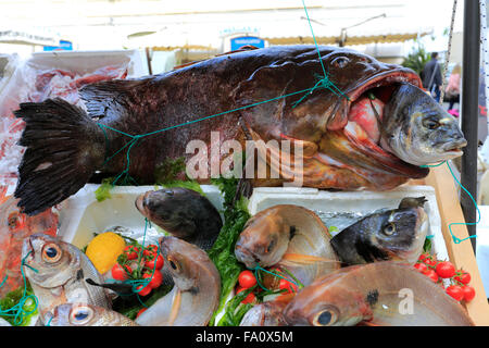 Frischer Fisch stall in Borgo Marina, Altstadt von Naples Stadt, Weltkulturerbe, Campania Region, Italien, Europa Stockfoto