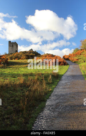 Herbst im Dolwydellan Schloss Betwsy y Coed Conwy Wales Stockfoto