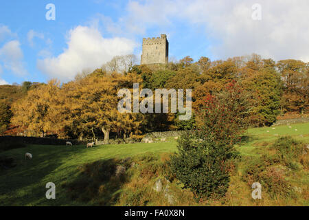 Herbst im Dolwydellan Schloss Betwsy y Coed Conwy Wales Stockfoto