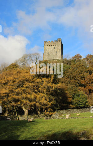 Herbst im Dolwydellan Schloss Betwsy y Coed Conwy Wales Stockfoto