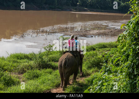 Elefantenritt in Luang Prabang Stockfoto