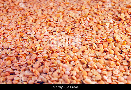 Rote Linsen Stockfoto