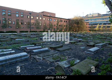 Beth-Chaim-Novo (Nuevo) sephardischen jüdischen Friedhof, Meile Ende Straße, London, UK. Stockfoto