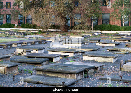 Beth Chaim Novo (Nuevo) sephardischen jüdischen Friedhof ist ein stillgelegtes Spanisch und Portugiesisch Friedhof, erwarb im Jahre 1725 und erstmals im Jahre 1733. Meile Ende Straße, London, UK. Stockfoto