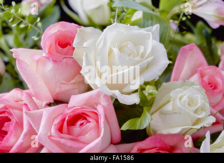 Nahaufnahme von einem Bouquet von rosa und weißen Rosen Stockfoto