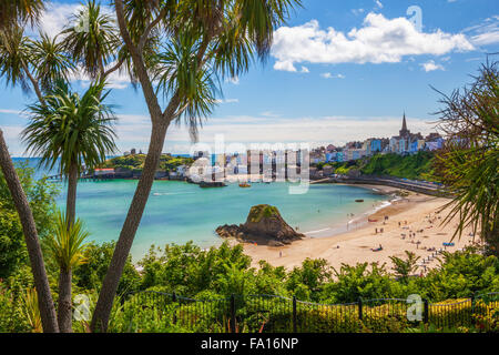 Tenby Hafen, Tenby, Pembrokeshire, Wales, UK Stockfoto