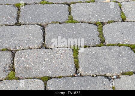 Backstein Gehweg Stockfoto