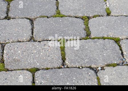 Backstein Gehweg Stockfoto