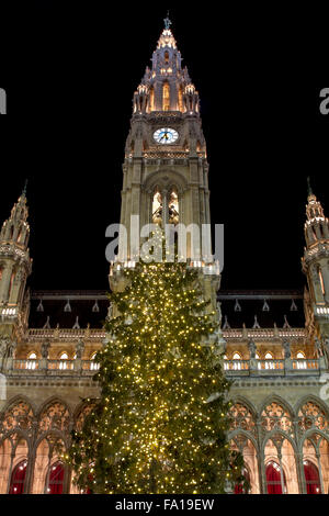 Beleuchtete Weihnachtsbaum vor dem Wiener Rathaus, Rathausplatz, Wien, Österreich Stockfoto