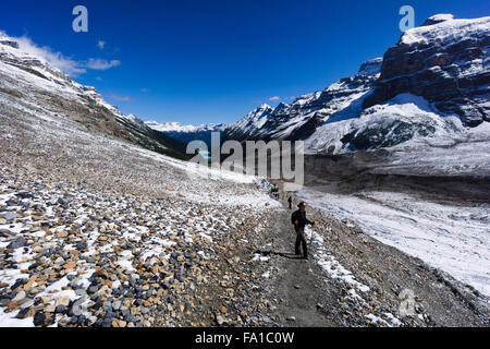 Ebene der sechs Gletscher trail, Lake Louise, Banff Nationalpark, Alberta, Kanada. Stockfoto