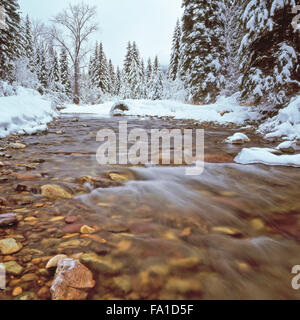 Winterschnee am lost Creek im Swan Valley in der Nähe von Schwanensee, montana Stockfoto