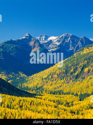 Herbstlärche im Tal des Elch Creek unterhalb von unbenannten Gipfeln in den Missionsbergen bei condon, montana Stockfoto