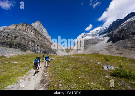 Lärche Tal Wanderweg zum Sentinel Pass. Banff Nationalpark, Alberta, Kanada. Stockfoto